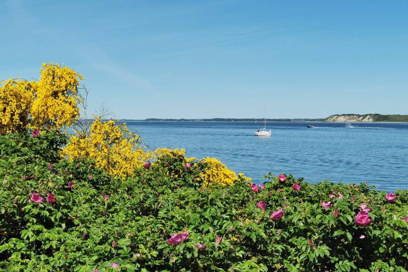 Foto von Ferienhaus GD19 in Virksund - Thy/Limfjord