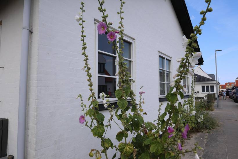 Foto von Ferienhaus GD33 in Løkken - Nordjütland