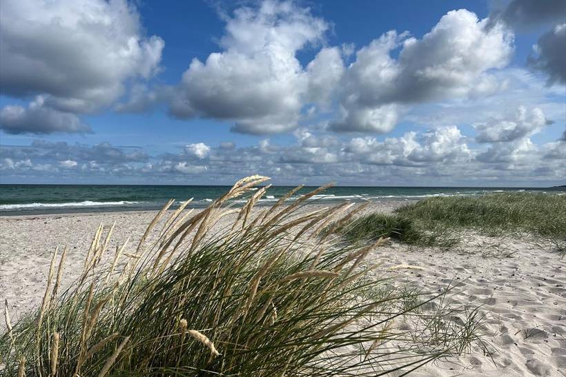 Foto von Ferienhaus GD96 in Strandsiden - Rørvig - Westseeland