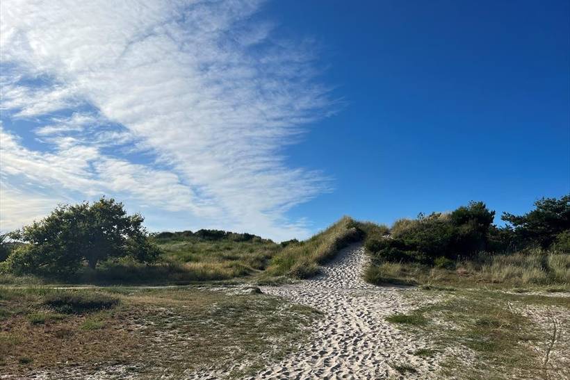 Foto von Ferienhaus GD96 in Strandsiden - Rørvig - Westseeland