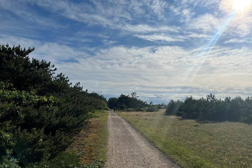 Foto von Ferienhaus GD96 in Strandsiden - Rørvig - Westseeland