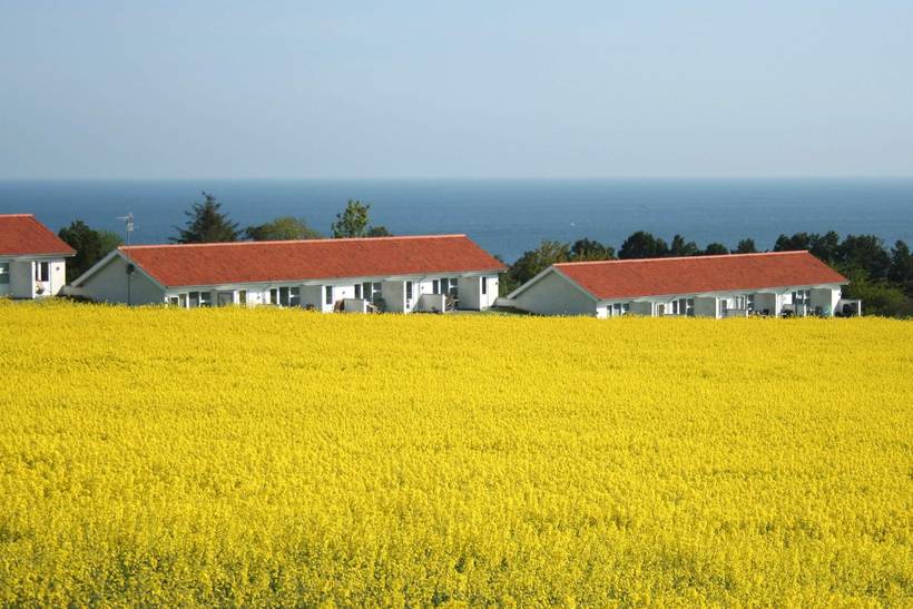 Foto von Ferienhaus GD98 in Sandkås - Bornholm