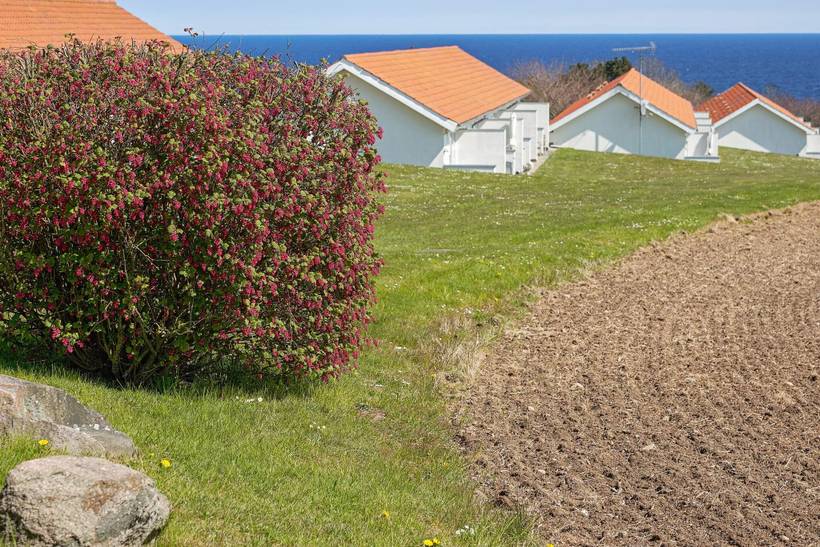 Foto von Ferienhaus GD98 in Sandkås - Bornholm