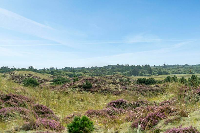 Foto von Ferienhaus GD99 in Gl. - Skagen - Nordjütland