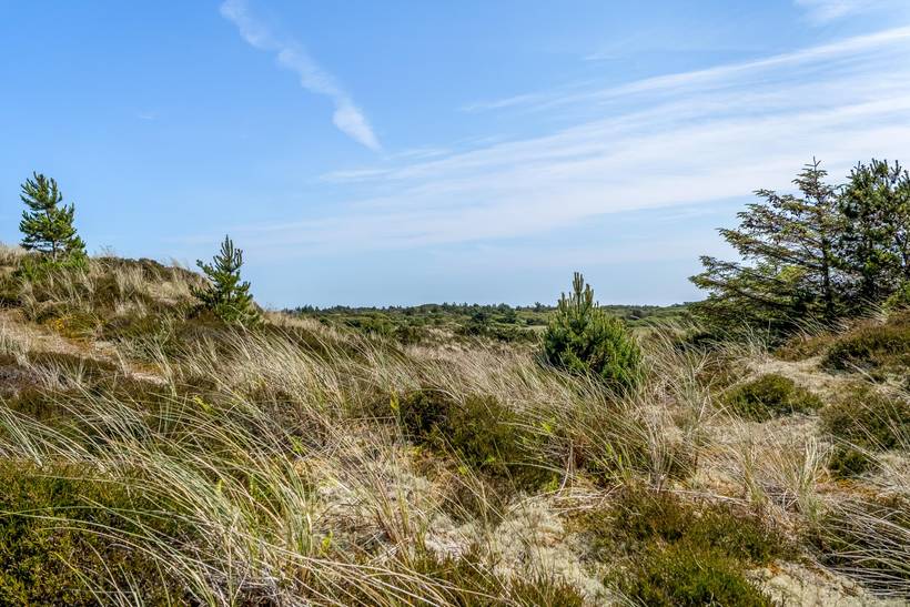 Foto von Ferienhaus GD99 in Gl. - Skagen - Nordjütland
