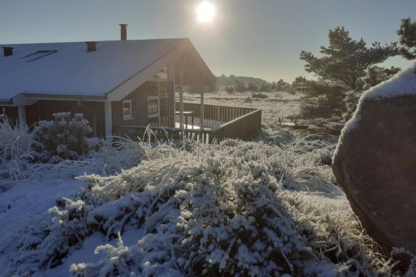 Foto von Ferienhaus GE15 in Bolilmark - Rømø