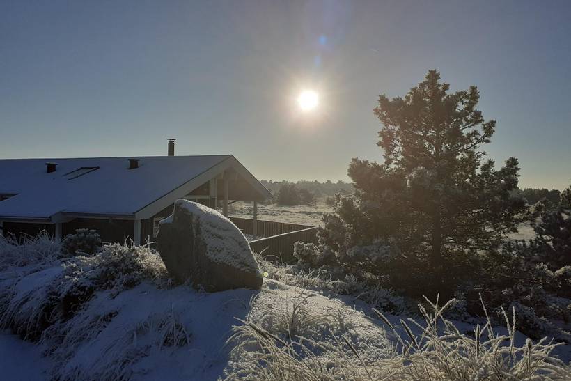 Foto von Ferienhaus GE15 in Bolilmark - Rømø