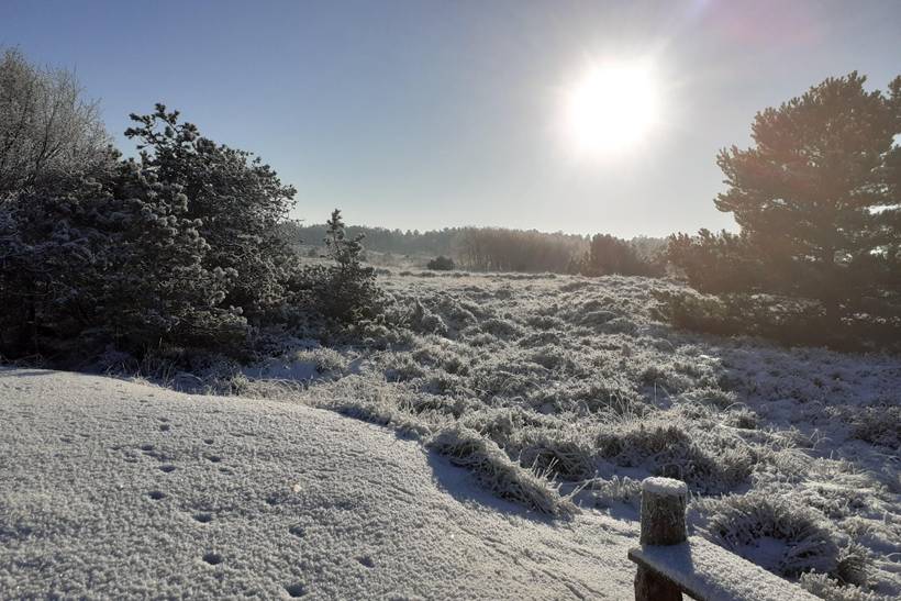 Foto von Ferienhaus GE15 in Bolilmark - Rømø