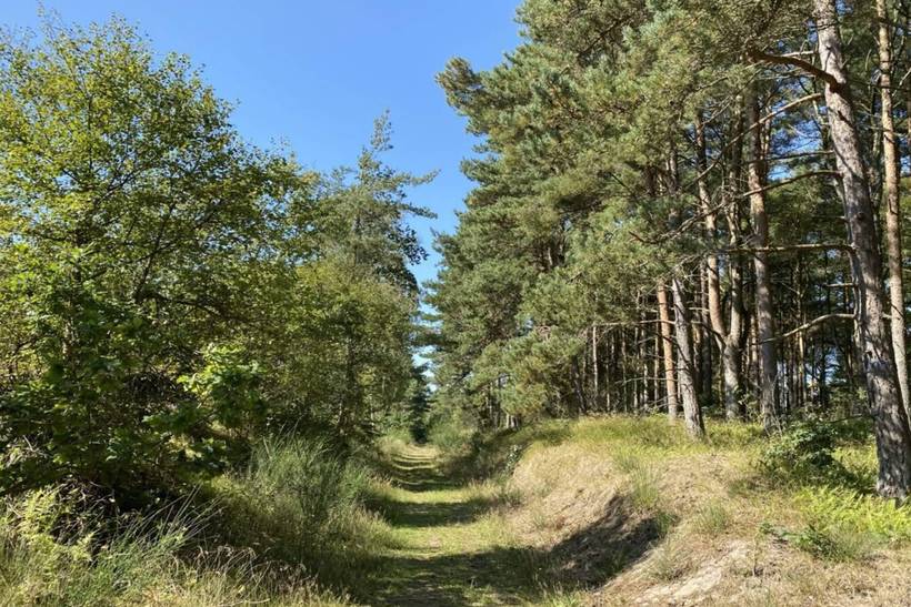 Foto von Ferienhaus GE71 in Als Odde - Helberskov - Nordjütland Ost