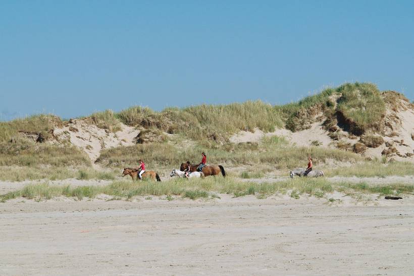 Foto von Ferienhaus GF21 in Sønderstrand - Rømø