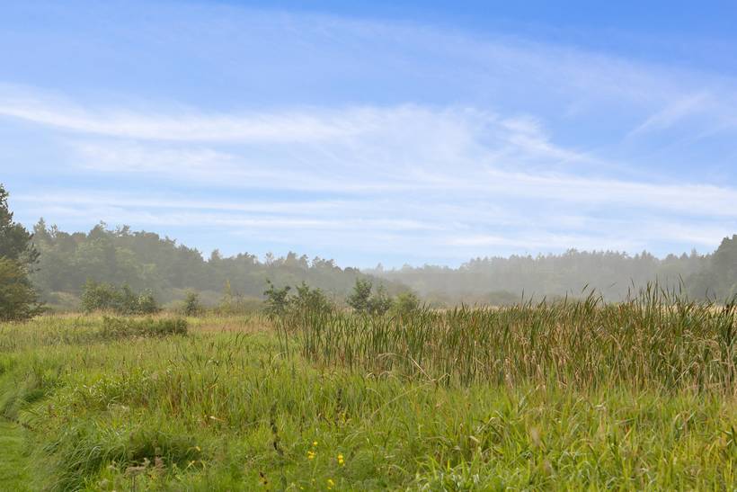 Foto von Ferienhaus GF25 in Truust - Ostjütland