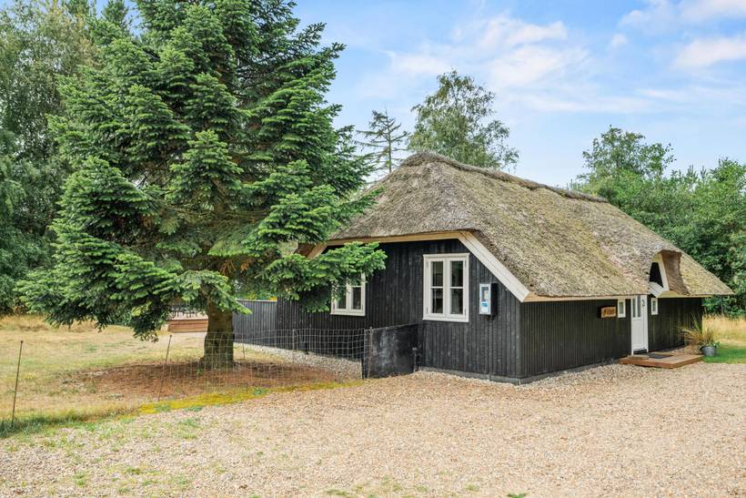 Foto von Ferienhaus GF32 in Houstrup - Westjütland