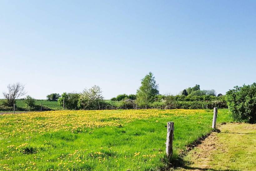 Foto von Ferienhaus GF37 in Hvidbjerg - Ostjütland