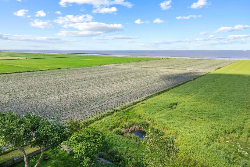 Foto von Ferienhaus GF61 in Ballum - Südjütland
