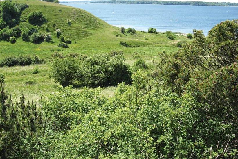 Foto von Ferienhaus GF91 auf Ejby - Nordseeland