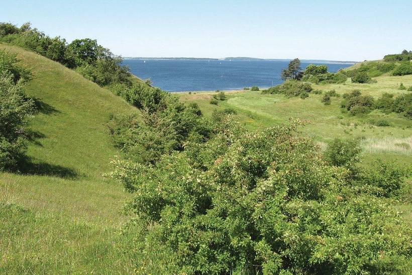 Foto von Ferienhaus GF91 auf Ejby - Nordseeland