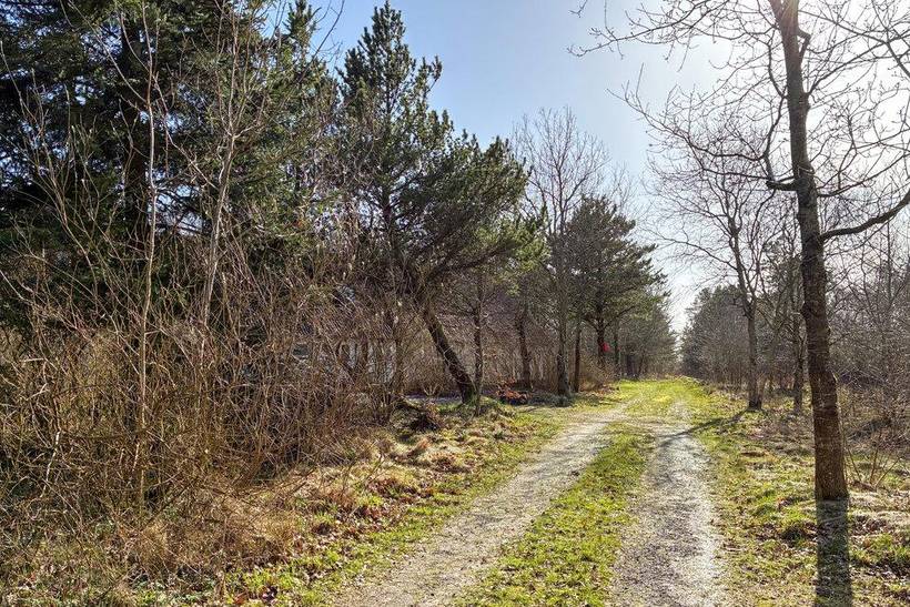 Foto von Ferienhaus GF92 in Rejsby - Südjütland