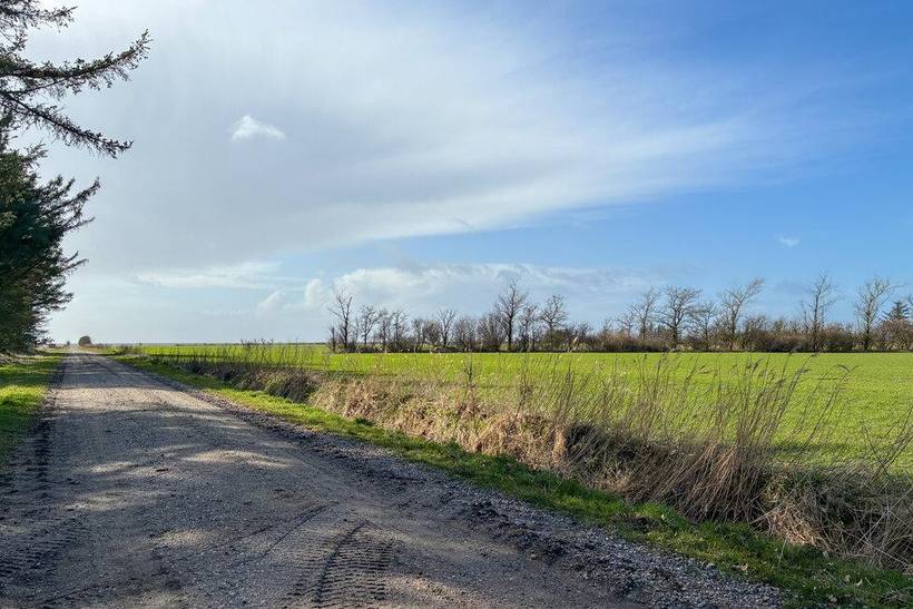 Foto von Ferienhaus GF92 in Rejsby - Südjütland