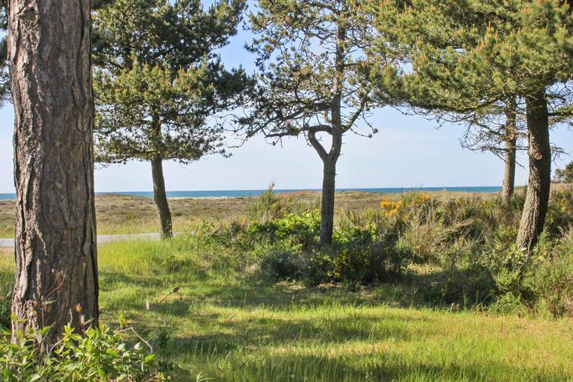 Foto von Ferienhaus GF94 in Vesterø - Læsø