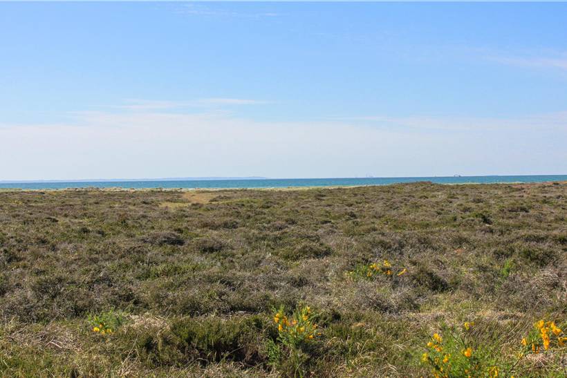 Foto von Ferienhaus GF94 in Vesterø - Læsø