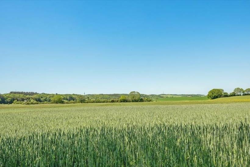 Foto von Ferienhaus GF97 in Juelsminde - Ostjütland
