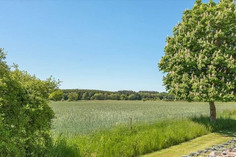 Foto von Ferienhaus GF97 in Juelsminde - Ostjütland