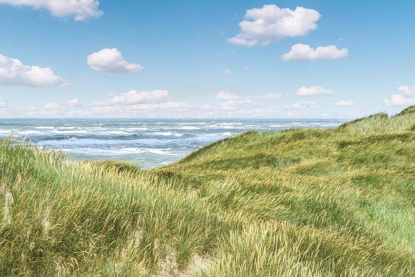 Foto von Ferienhaus GG11 in Søndervig - Westjütland