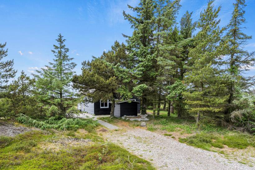 Foto von Ferienhaus GG55 in Kongsmark - Rømø