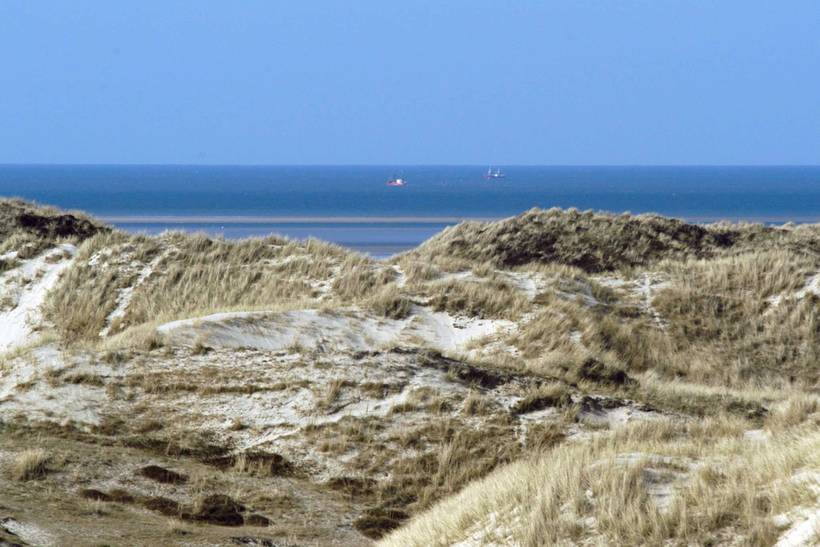 Foto von Ferienhaus GG59 in Fanø Bad - Fanø