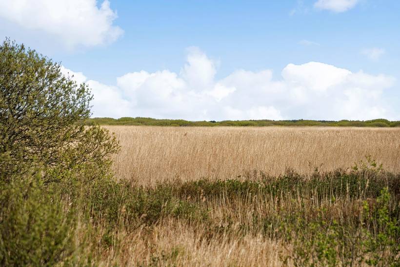 Foto von Ferienhaus GG83 in Lakolk - Rømø