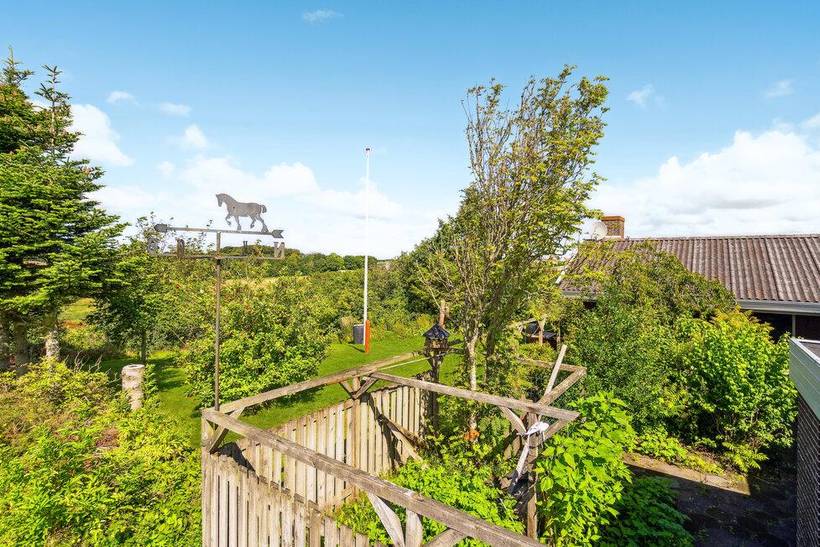 Foto von Ferienhaus GH14 in Thisted - Thy/Limfjord