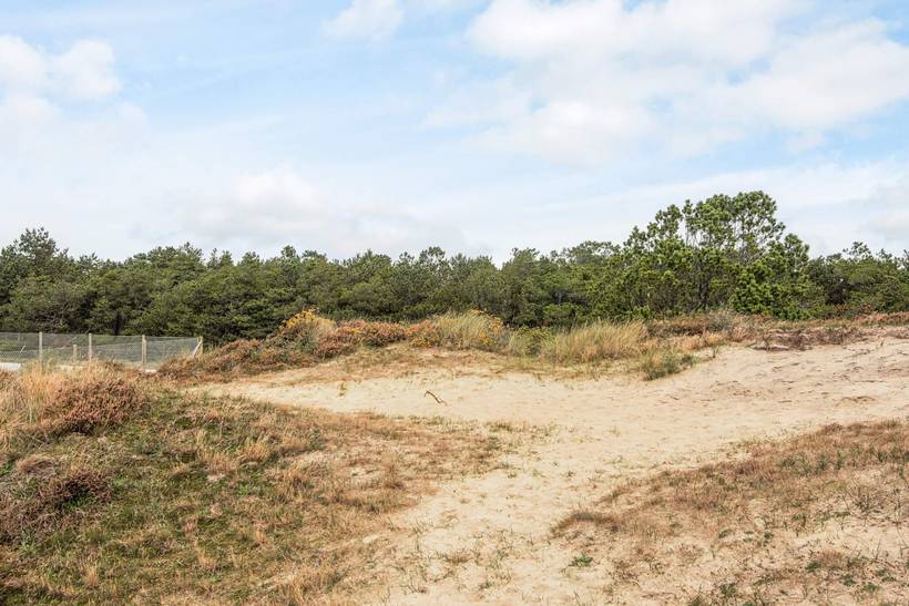 Foto von Ferienhaus GH30 in Havneby - Rømø