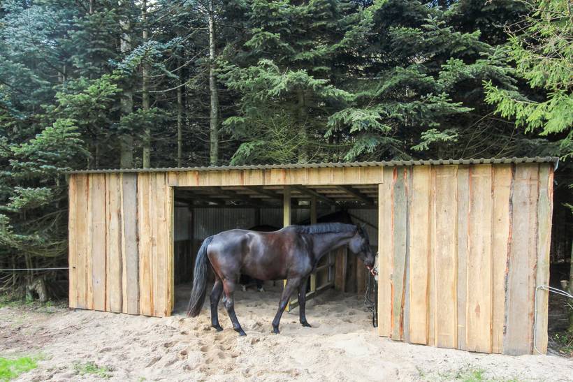 Foto von Ferienhaus GH88 auf Gudhjem - Bornholm
