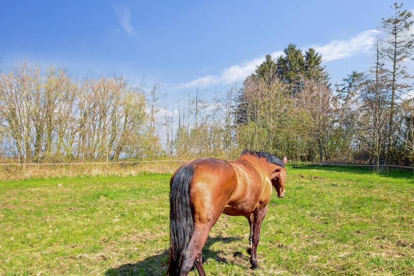 Foto von Ferienhaus GH88 auf Gudhjem - Bornholm