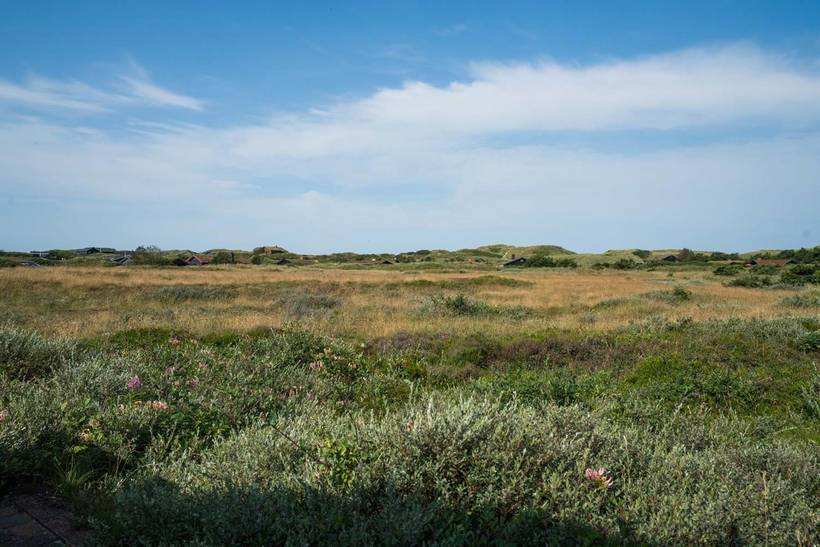 Foto von Ferienhaus GI18 in Henne Strand - Westjütland