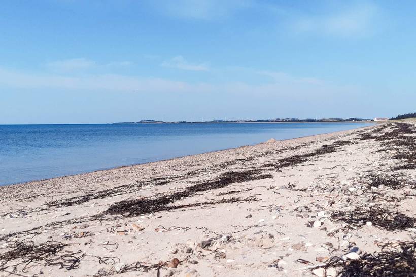 Foto von Ferienhaus GI56 in Trend - Thy/Limfjord