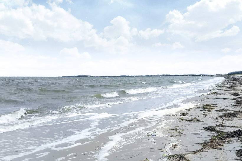 Foto von Ferienhaus GI56 in Trend - Thy/Limfjord