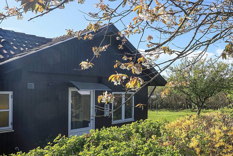 Foto von Ferienhaus GI56 in Trend - Thy/Limfjord