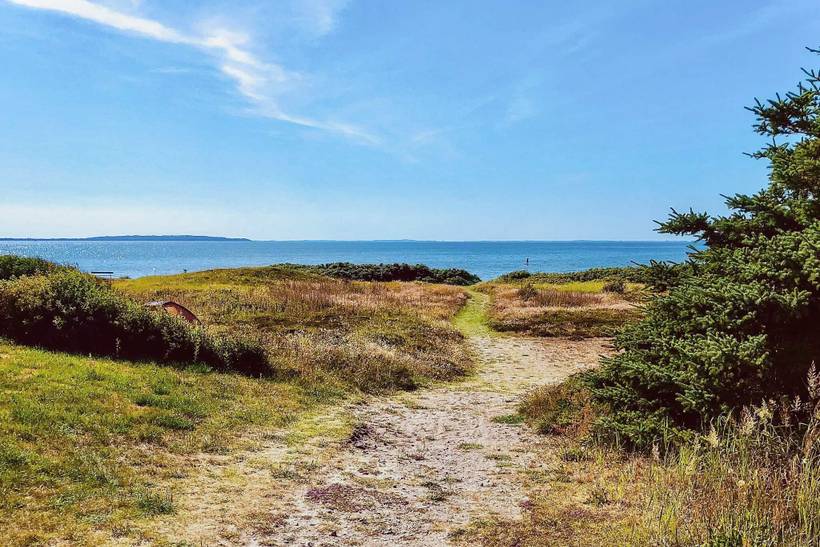 Foto von Ferienhaus GI56 in Trend - Thy/Limfjord