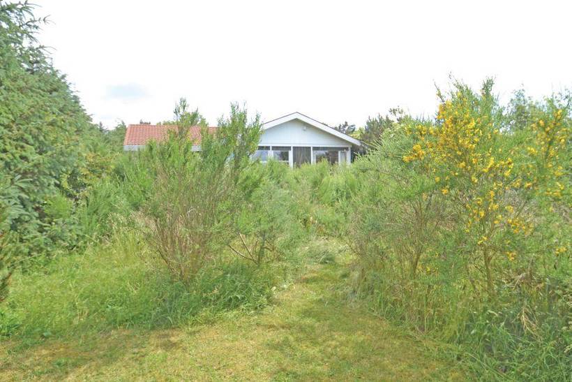 Foto von Ferienhaus GI73 in Trend - Thy/Limfjord