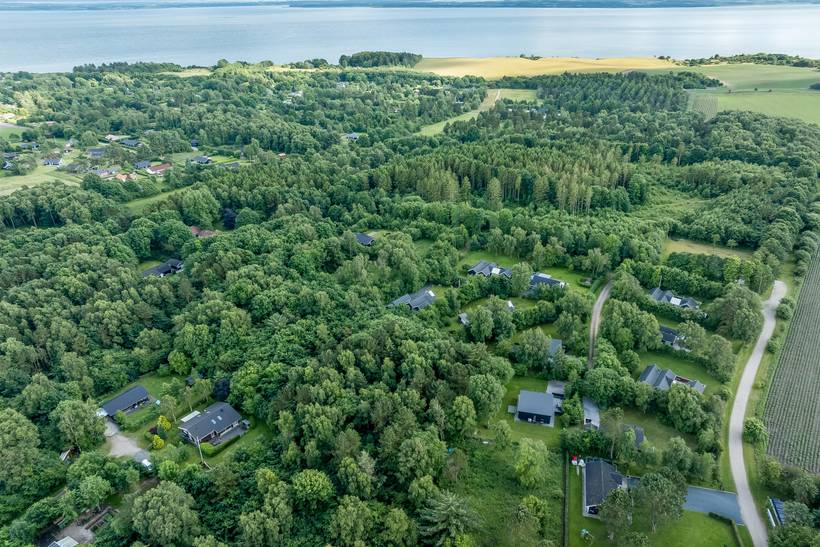 Foto von Ferienhaus GJ62 in Hvalpsund - Thy/Limfjord