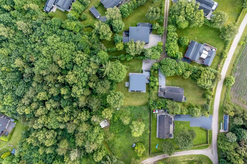 Foto von Ferienhaus GJ62 in Hvalpsund - Thy/Limfjord