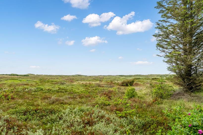 Foto von Ferienhaus GJ81 in Tversted - Nordjütland