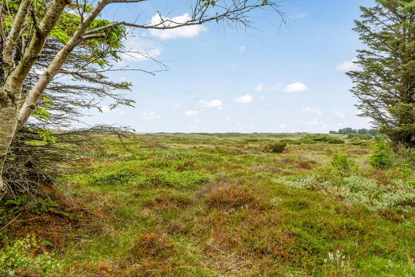 Foto von Ferienhaus GJ81 in Tversted - Nordjütland