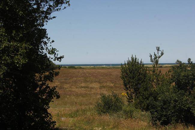 Foto von Ferienhaus GK42 in Klim - Nordjütland
