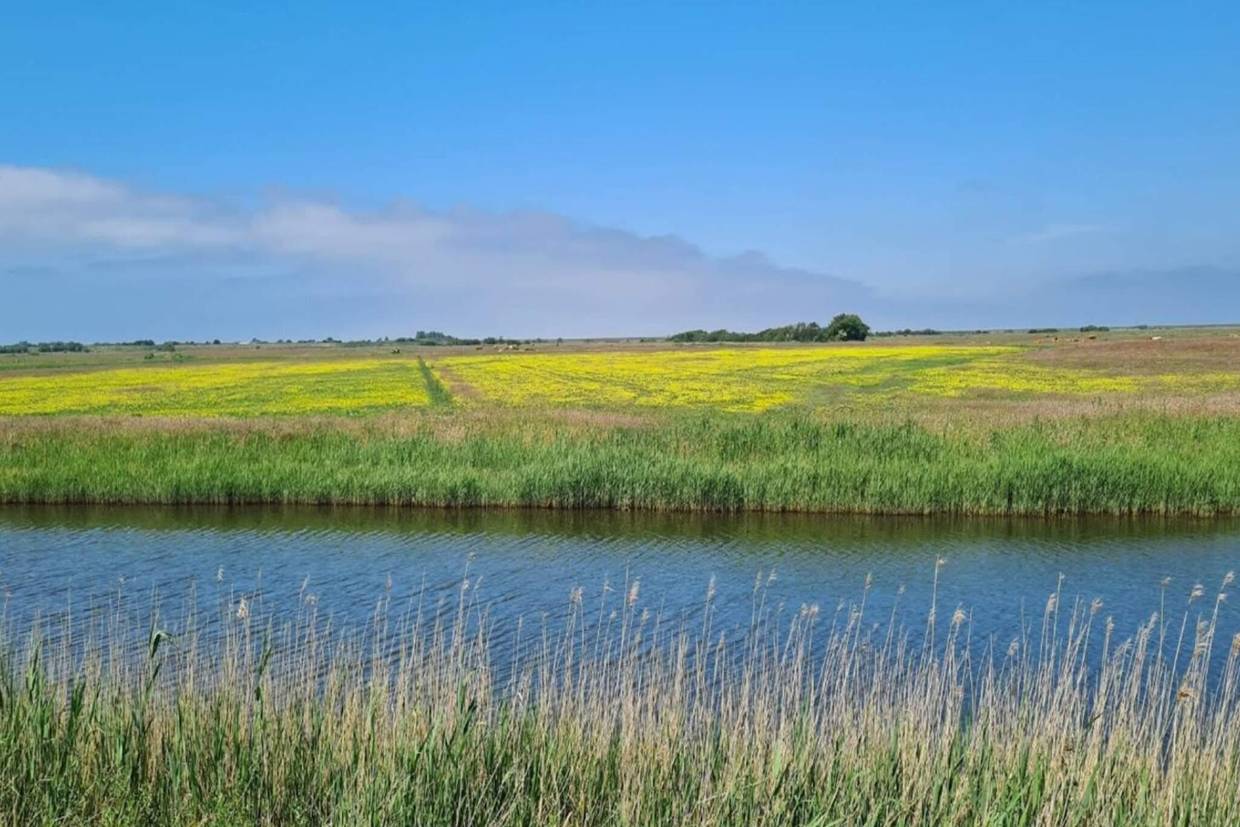 Foto von Ferienhaus GK99 in Mandø - Südjütland