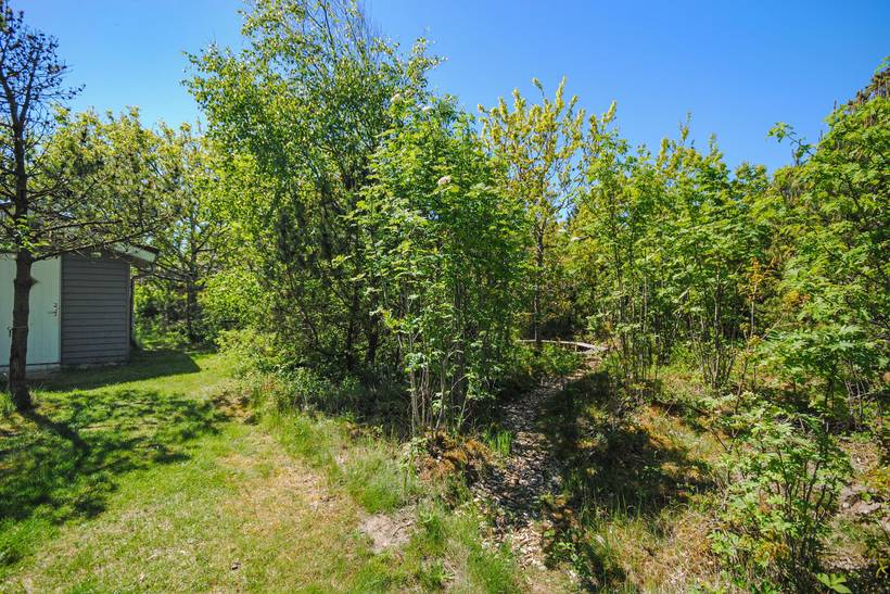 Foto von Ferienhaus GL25 in Lodbjerg Hede - Søndervig - Westjütland