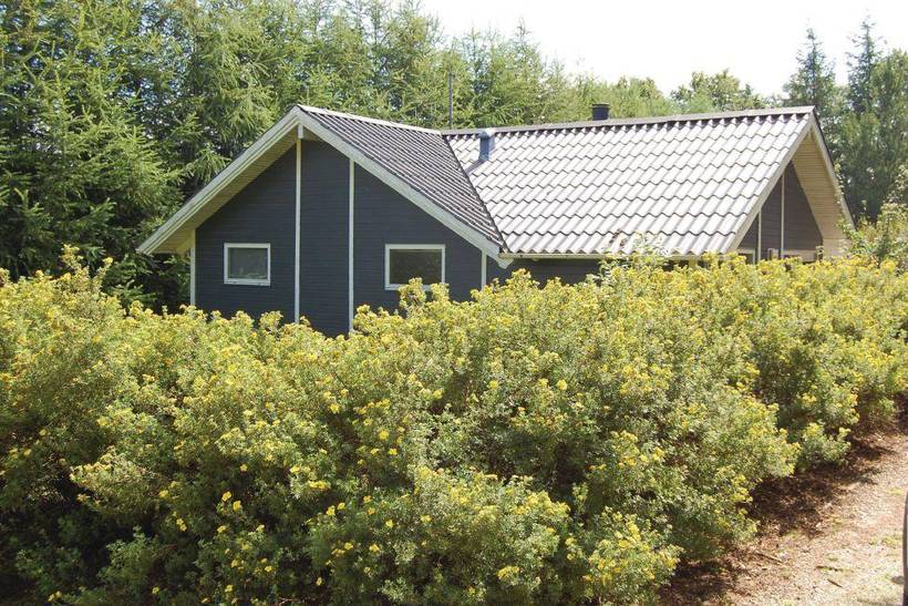 Foto von Ferienhaus GL29 in Jegum - Westjütland
