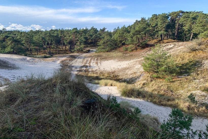 Foto von Ferienhaus GL68 in Dueodde - Bornholm
