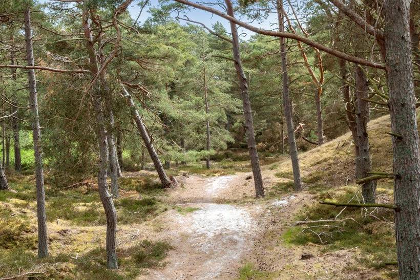 Foto von Ferienhaus GL68 in Dueodde - Bornholm